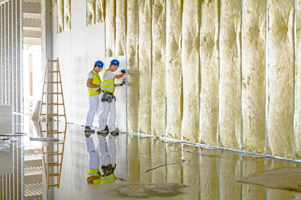 Best Commercial Insulation in Pacific, MO